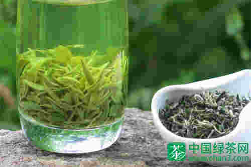 绿茶价格|庐山云雾茶多少钱一斤